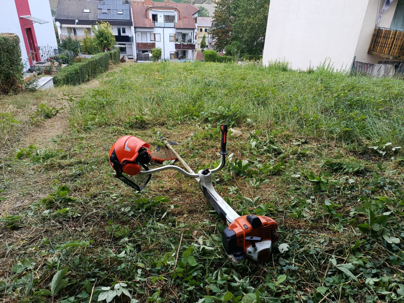 Bepflanzung & Grüngestaltung